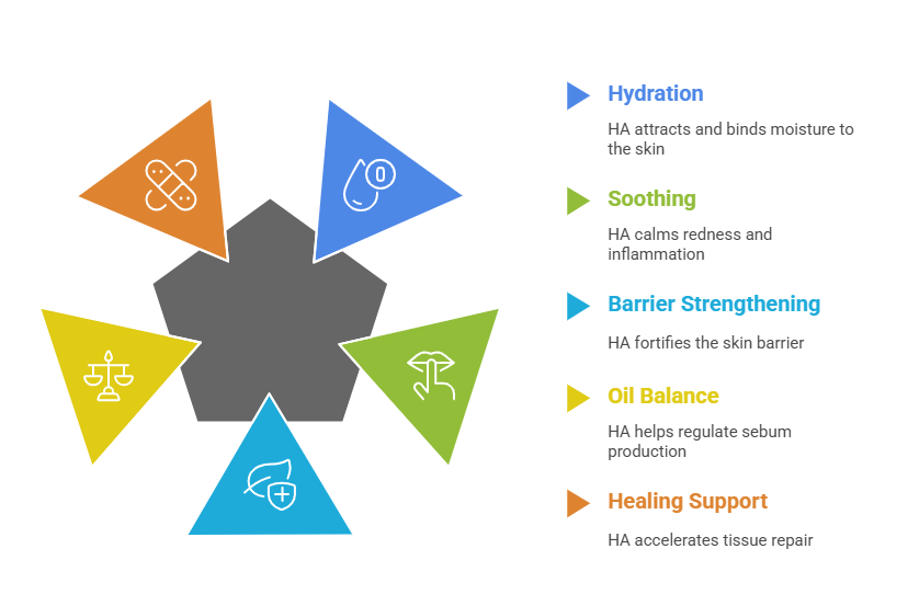 Benefits of HA for Acne Skin